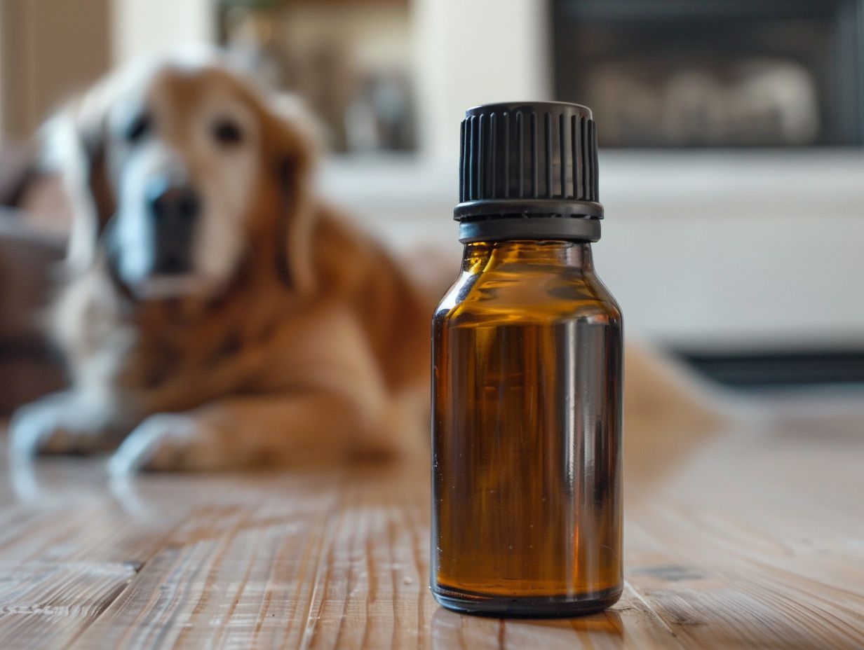 Is Peppermint Essential Oils Safe for Dogs Oil Therapy Central